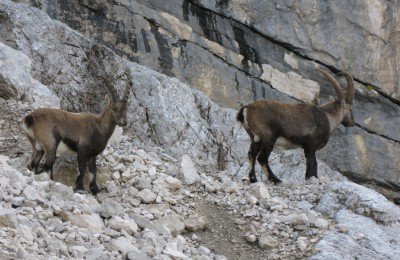 gadertal-untermoi-tulperhof-urlaub-im-gardertal-03