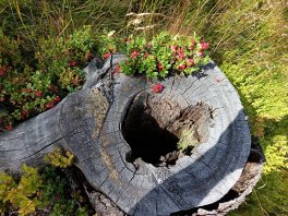 IMG_20250824_145102