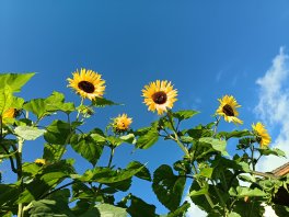 IMG_20250901_090522