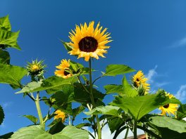 IMG_20250901_090541