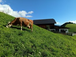 IMG_20250901_091949